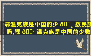 鄂温克族是中国的少 🌸 数民族吗,鄂 🌷 温克族是中国的少数民族吗为什么